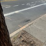 Pothole at 1 Harvard St
