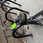 Abandoned Bike at Lawrence School, 27 Francis St, Brookline 02446