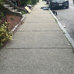 Trash/Recycling at 19 Netherlands Rd