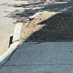Sidewalk Repair at 20 Gibbs St