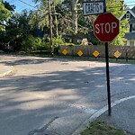Traffic Signal at 52 Norfolk Rd, Chestnut Hill