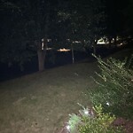 Streetlight at 42.33 N 71.15 W