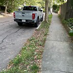 Parking Issues at 7 Oakland Rd