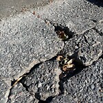 Pothole at 127 High St