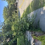 Sidewalk Obstruction at 128 Dudley St