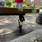 Sidewalk Repair at 227 Babcock St