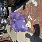 Trash/Recycling at 282 Washington St