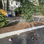 Park Playground at Driscoll School Playground, 64 Westbourne Terr, Brookline 02446
