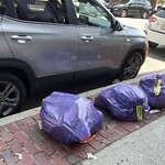 Trash/Recycling at 42.33 N 71.12 W