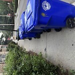 Sidewalk Obstruction at 115 Park St