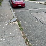 Parking Issues at 61 Franklin St
