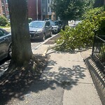 Sidewalk Obstruction at 14 James St