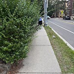 Sidewalk Obstruction at 100 Winchester St