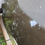 Water and Sewer at 156 Lawton St