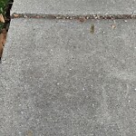 Sidewalk Repair at 55 Penniman Rd