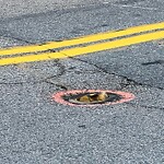 Pothole at 171 Harvard St