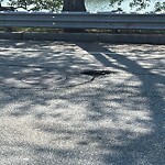 Pothole at 42.33 N 71.14 W