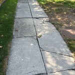 Sidewalk Repair at 1140 W Roxbury Pkwy, Chestnut Hill