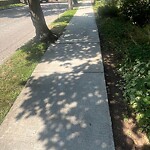 Sidewalk Repair at 23 Sumner Rd