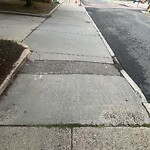 Sidewalk Repair at 115 Greenough St