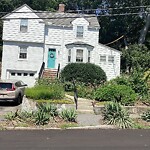 Public Trees at 11 Risley Rd, Chestnut Hill