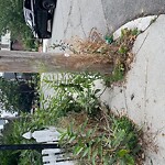 Sidewalk Obstruction at 48 Auburn St
