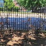 Park Playground at 15 Hurd Rd
