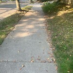 Sidewalk Repair at 50 Sumner Rd