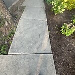 Sidewalk Repair at 23 Sumner Rd