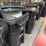 Trash/Recycling at 47 Alton Pl