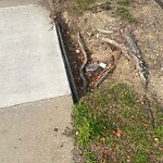 Sidewalk Repair at 9–21 Crowninshield Rd