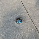 Sidewalk Repair at 5–6 Station St