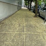 Sidewalk Obstruction at 165 Amory St, Boston