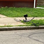 Trash/Recycling at 22 Osborne Rd