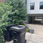 Trash/Recycling at 22 Marion St