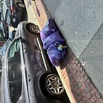 Trash/Recycling at 282 Washington St