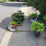 Sidewalk Obstruction at 21 Hart St