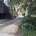 Trash/Recycling at 59 Griggs Rd