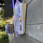 Sidewalk Obstruction at 23 Holland Rd