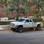 Parking Issues at 63 Parkman St