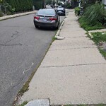 Parking Issues at 35 Oakland Rd