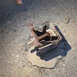 Sidewalk Repair at 1–3 Summit Ave, Brookline 02446