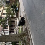 Sidewalk Obstruction at 60 Harvard Ave