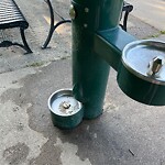 Water and Sewer at 599 Brookline Ave