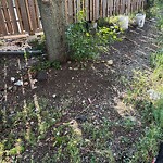 Trash/Recycling at 1356 Beacon St