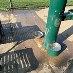 Water and Sewer at 599 Brookline Ave