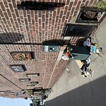 Trash/Recycling at 310 Harvard St