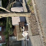 Trash/Recycling at 116 Winthrop Rd