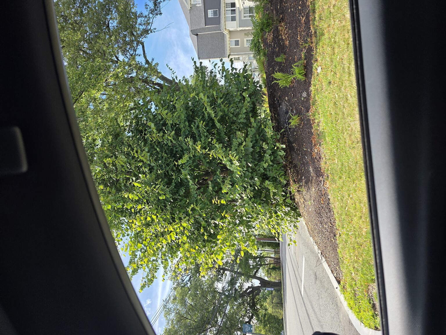The_newbury_of_brookline_123_fisher_ave._blind_spot