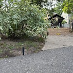 Park Playground at 66–106 Davis Ave